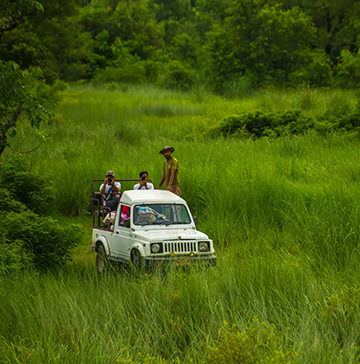bardiya3