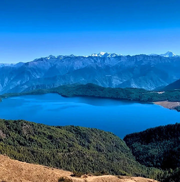 rara