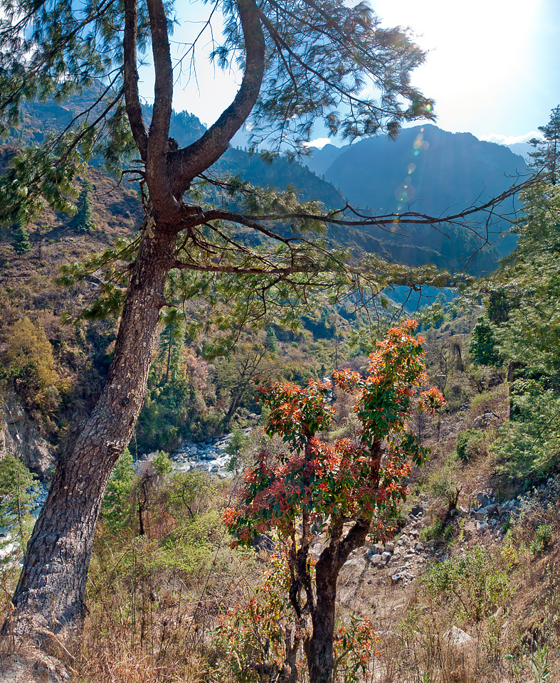 Yacca Travel and Tours