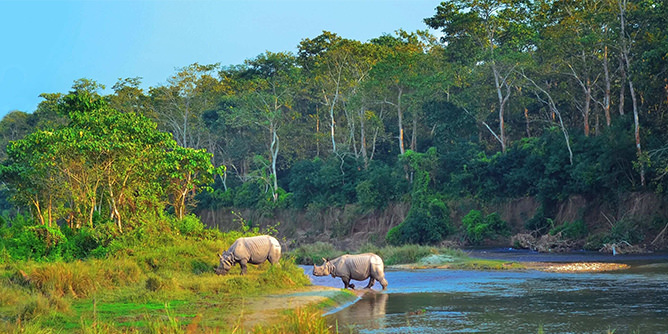 Yacca Travel and Tours