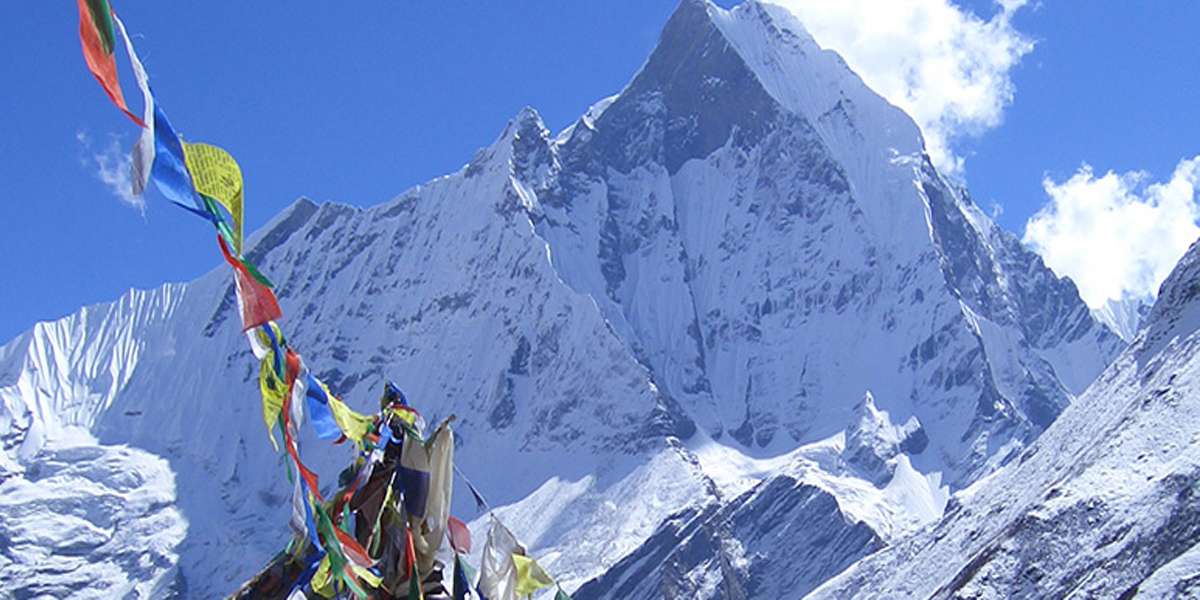 Yacca Travel and Tours