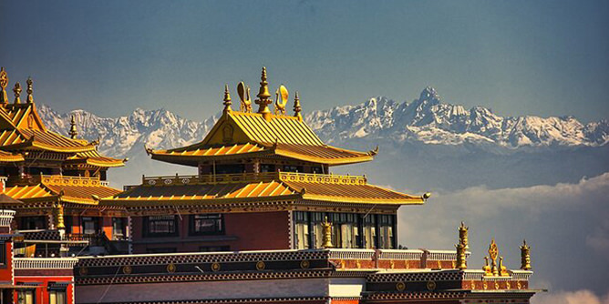 Yacca Travel and Tours