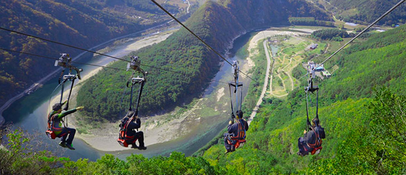 Yacca Travel and Tours